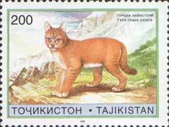 Stamp, Jungle Cat (Felis chaus ssp. oxiana) , Tajikistan,  , WWF, Cats