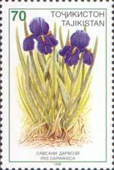 Stamp, Iris darwasica, Tajikistan,  , Flowers