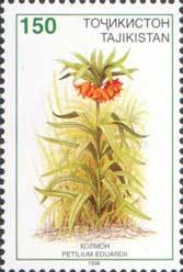 Stamp, Petilium eduardii, Tajikistan,  , Flowers