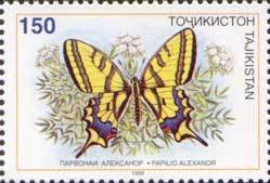 Stamp, Southern Swallowtail (Papilio alexanor), Tajikistan,  , Butterflies