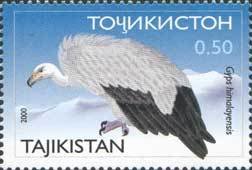 Stamp, Himalayan Vulture (Gyps himalayensis), Tajikistan,  , Birds of Prey