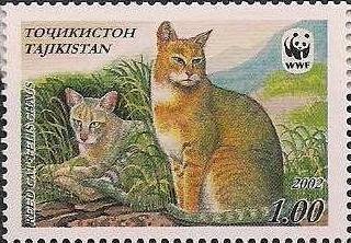 Stamp, Reed cat (Felis chaus), Tajikistan,  , WWF, Cats