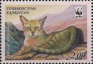 Stamp, Reed cat (Felis chaus), Tajikistan,  , WWF, Cats