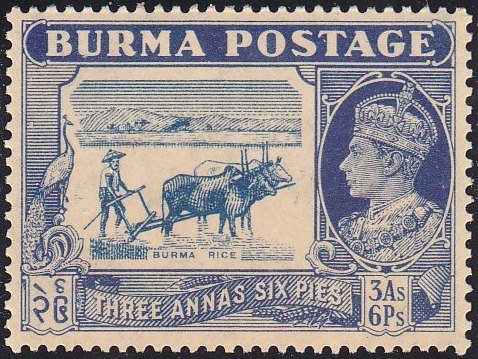 Ploughing of the Rice Field