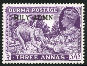 Asian Elephant (Elephas maximus) with Mahout doing Woodwork 