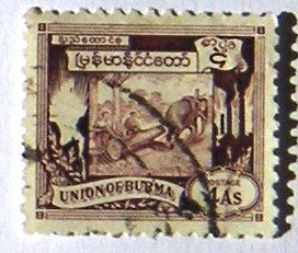 One Year Independence