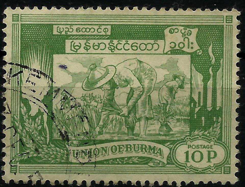 Rice Growers