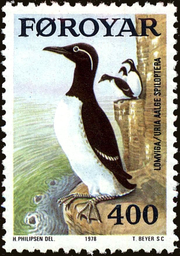 Common Murre (Uria aalge spiloptera)