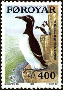 Stamp, Common Murre (Uria aalge spiloptera), Faroe Islands,  , Birds, Animals (Fauna)