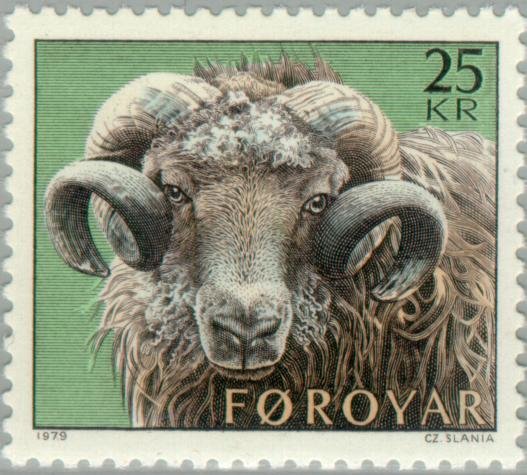 Ram (Ovis ammon aries)