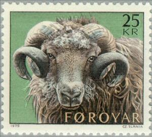 Stamp, Ram (Ovis ammon aries), Faroe Islands,  , Mammals, Sheep, Animals (Fauna)