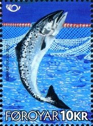 Atlantic Salmon (Salmo salar)