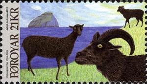 Stamp, Dímun Sheep (Ovis orientalis aries) , Faroe Islands,  , Sheep
