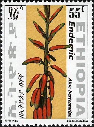 Aloe bertemariae