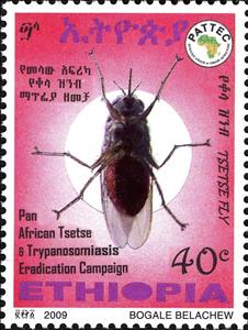Stamp, Tsetse (Glossina sp.), Ethiopia,  , Insects
