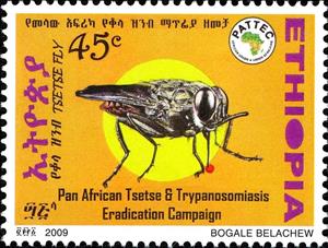 Stamp, Tsetse (Glossina sp.), Ethiopia,  , Insects