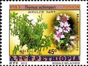 Stamp, Thymus achimperi, Ethiopia,  