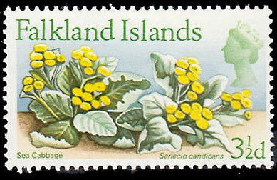 Stamp, Flower Definitive, Falkland Islands,  , Flowers