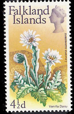 Stamp, Flower Definitive, Falkland Islands,  , Flowers