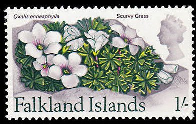 Stamp, Flower Definitive, Falkland Islands,  , Flowers