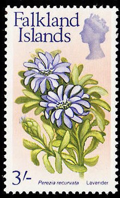 Flower Definitive