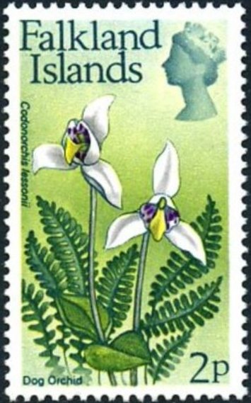 Flower Definitive