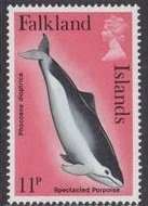 Spectacled Porpoise (Phocoena dioptrica) 