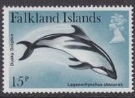 Dusky Dolphin (Lagenorhynchus obscurus)