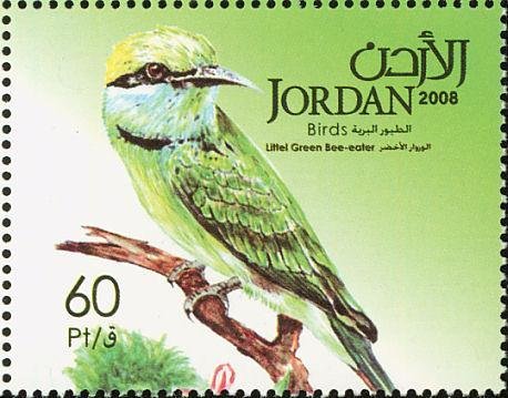 Green Bee-eater (Merops orientalis)