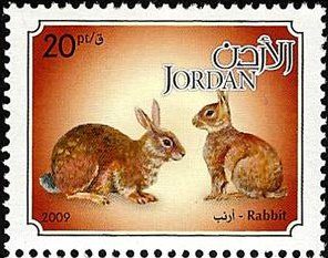Stamp, European Rabbit (Oryctolagus cuniculus), Jordan,  , Rabbits, Animals (Fauna)
