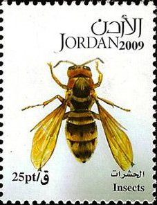 Stamp, Bee (Apis sp.), Jordan,  , Insects