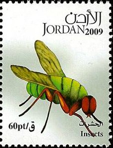 Fly