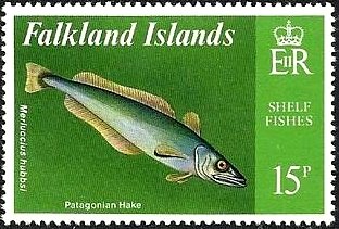 Argentine Hake (Merluccius hubbsi) 