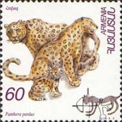 Stamp, Leopard (Panthera pardus), Armenia,  , Mammals, Cats, Leopards, Animals (Fauna)