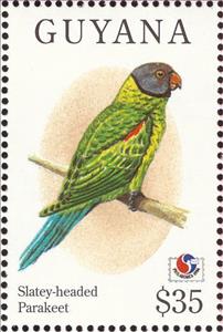 Stamp, Slaty-headed Parakeet (Psittacula himalayana), Guyana,  , Birds, Philatelic Exhibitions, Animals (Fauna)