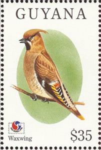 Stamp, Bohemian Waxwing (Bombycilla garrulus), Guyana,  , Birds, Philatelic Exhibitions, Animals (Fauna)