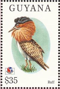 Stamp, Ruff (Philomachus pugnax), Guyana,  , Birds, Philatelic Exhibitions, Animals (Fauna)