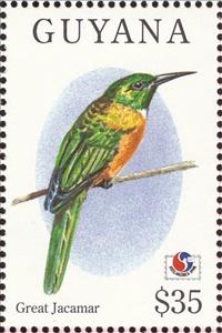 Stamp, Great Jacamar (Jacamerops aureus), Guyana,  , Birds, Philatelic Exhibitions, Animals (Fauna)