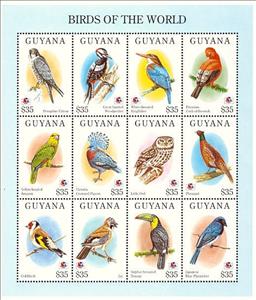 Mini Sheet, Mini Sheet - Birds - MiNo. 4860-71, Guyana,  , Birds, Philatelic Exhibitions, Animals (Fauna)