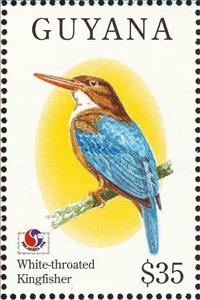 Stamp, White-throated Kingfisher (Halcyon smyrnensis), Guyana,  , Birds, Philatelic Exhibitions, Animals (Fauna), Kingfishers