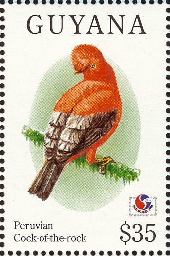 Andean Cock-of-the-rock (Rupicola peruviana)