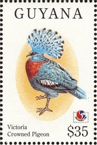 Stamp, Victoria Crowned Pigeon (Goura victoria), Guyana,  , Birds, Philatelic Exhibitions, Animals (Fauna)
