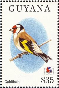 Stamp, European Goldfinch (Carduelis carduelis), Guyana,  , Birds, Philatelic Exhibitions, Animals (Fauna)