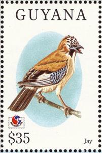 Stamp, Eurasian Jay (Garrulus glandarius), Guyana,  , Birds, Philatelic Exhibitions, Animals (Fauna)