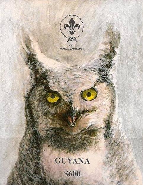 Eurasian Eagle-Owl (Bubo bubo)