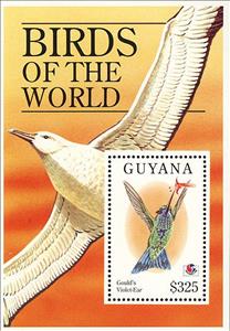 Souvenir Sheet, Sparkling Violetear (Colibri coruscans), Guyana,  , Birds, Philatelic Exhibitions, Animals (Fauna)