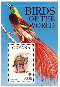 Souvenir Sheet, Bald Eagle (Haliaeëtus leucocephalus), Guyana,  , Birds, Philatelic Exhibitions, Animals (Fauna)