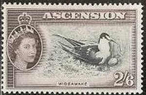 Stamp, Sooty Tern (Sterna fuscata), Ascension Island,  , Birds