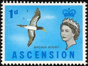 Stamp, Brown Booby (Sula leucogaster), Ascension Island,  , Birds, Animals (Fauna)