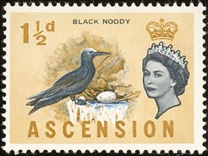 Stamp, Black Noddy (Anous minutus), Ascension Island,  , Birds, Animals (Fauna)